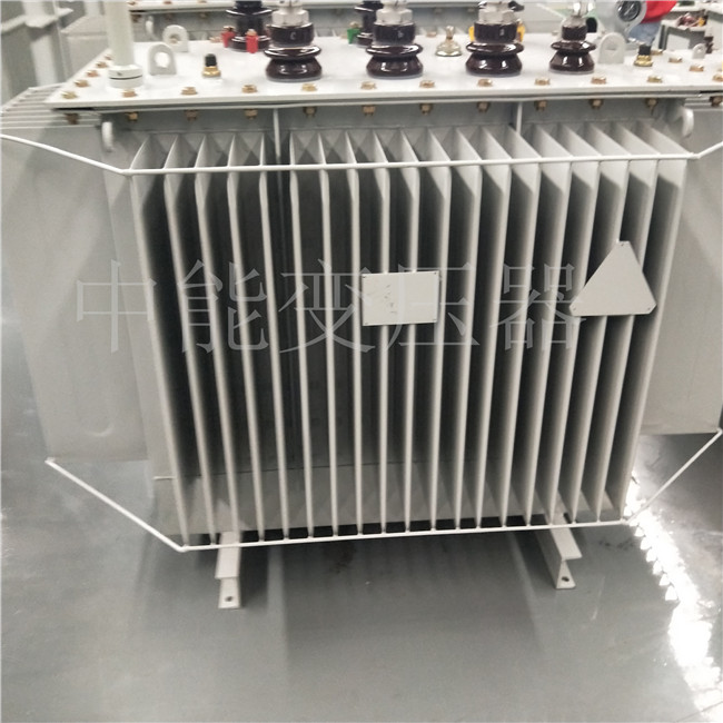 百色S20-800KVA变压器