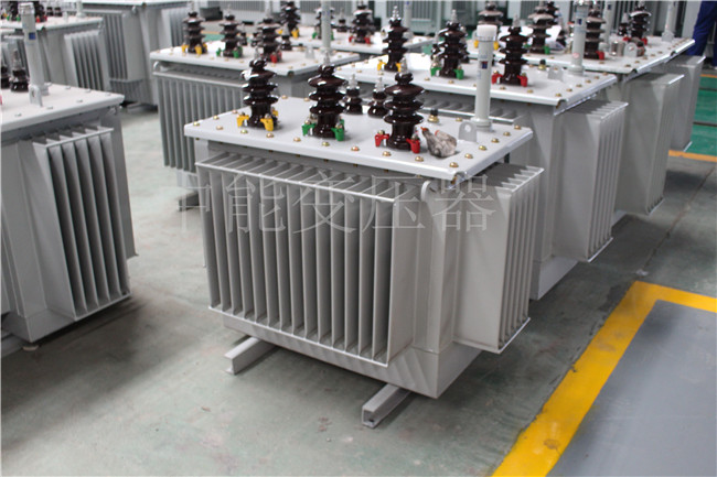 百色S22-100KVA/10KV/0.4KV变压器